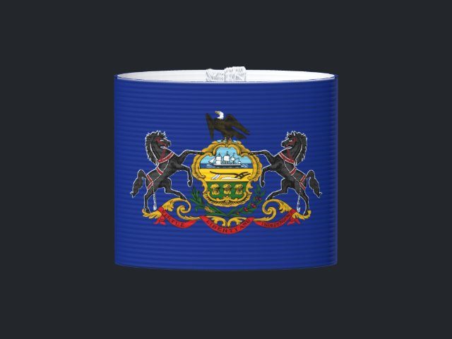 Captain's armband designed by a customer