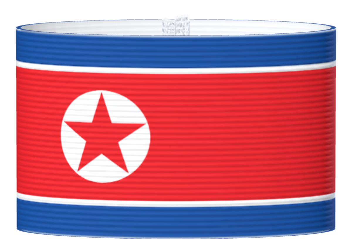 Kapteeninnauha Pohjois-Korea
