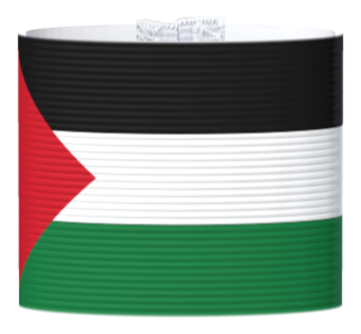 Captain's armband Palestine