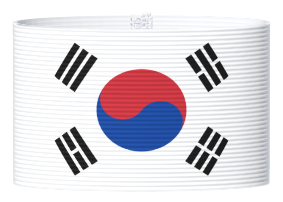 Kapteeninnauha Etelä-Korea